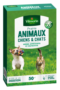 Prairie Animaux Chiens & chats